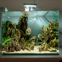 Pierre de dragon en vrac - Approvisionnement direct d'usine pour les aquariums commerciaux et l'aménagement paysager