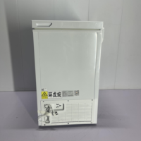 Congélateur horizontal à porte unique de 110 L pour usage domestique et commercial