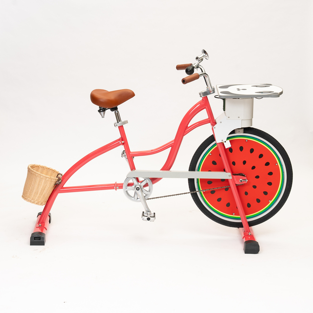 EXI Hybrid Bicycle Pedal Power Generator Bike for Mobile Phone Charging Amusement Unicycle Party Chopper Bicycle