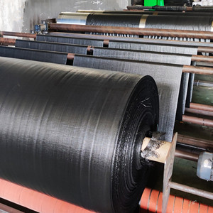 <span class=keywords><strong>Malla</strong></span> Antihierbas de Polipropileno Tejido a Cuadros <span class=keywords><strong>Negra</strong></span>, Barrera Antihierbas para Invernadero, <span class=keywords><strong>Malla</strong></span> Duradera para Paisajismo, <span class=keywords><strong>Malla</strong></span> Antihierbas para Cubrir el Suelo - Product Image 5