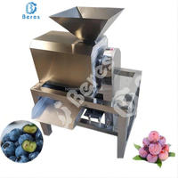 Extract Sinaasappelsapmachine Fruitpulper Kleine Perzik Gember Extractie Extractor Passie Juicer