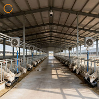 Estructura de Acero Ligero de Diseño Moderno, Cobertizo Prefabricado para Ovejas y Cabras, Cobertizo para Granja, Fácil Instalación, Personalizable