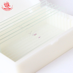 El cartílago hialurónico es un típico preparado biológico en diapositiva utilizados en investigación médica, enseñanza y observación. Tiene una clara definición. - Product Image 2
