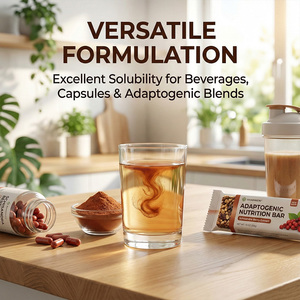 ผงสกัดผลชิสแอนดรา ไชน์เนนซิส บริสุทธิ์สูง สารสกัดจากธรรมชาติ ชิสแอนดริน ชิซานเทอริน สกัดด้วยตัวทำละลาย อาหารเพื่อสุขภาพ - Product Image 5