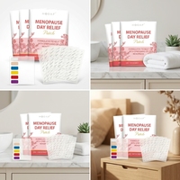Patchs Transdermiques OEM ODM Efficaces pour Soulager la Ménopause, 30 Patchs de Soutien de l'Humeur pour Femmes d'Âge Moyen, Améliore le Sommeil