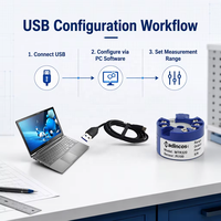 Transmitter Suhu MTR320 CE 0.1%FS Thermocouple+PT100 24VDC 2 Kawat 4-20mA USB Programmable Head Mounted Plastik IP20
