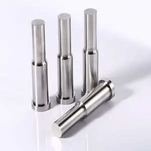 Dongguan 2023 High Hardness Carbide Die Punch Precision Mold Parts Hot Sale Moulds for Punching