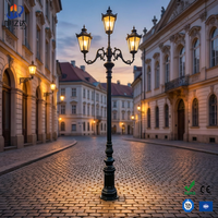 Lampadaires de jardin et de rue en acier Q235 IP66, galvanisés à chaud et peints en poudre, formes spéciales sur mesure selon les dessins