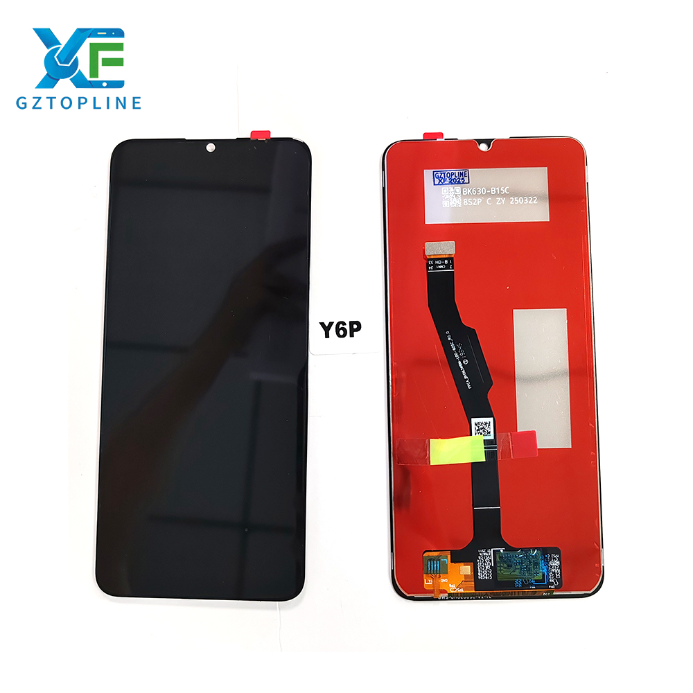 Y6P