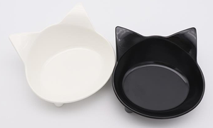 Di Động Cá Nhân Đầy Màu Sắc An Toàn Pet Dog Cat Thức Ăn Cho Ăn Bát Chậm - Product Image 6