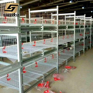 Nuova Gabbia Automatica Tipo H per Allevamento di Polli in Acciaio Zincato Multifunzionale per Galline Ovaiole e Polli da Carne - Product Image 3