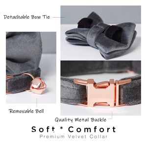 Ensemble collier et laisse personnalisés pour chat et petit chien DarkGrey Veet, avec étiquette gravée sur mesure pour chaton/chiot et clochette dorée gratuite - Product Image 5