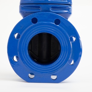 หน้าแปลนประตูแบบแมนนวล ANSI Class 150 หน้าแปลนประตูแบบ Resilient Seat หน้าแปลนประตูแบบ Pn16 Dn80 10 - Product Image 5