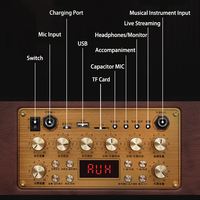 Vente en gros OEM Amplificateur de guitare multifonctionnel extérieur Instrument de chant et de jeu Équipement audio 120W Puissance