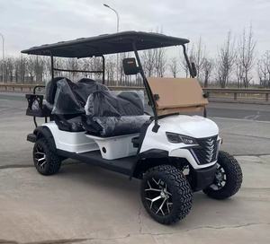 Carrito de Golf Eléctrico de 6 Plazas, Color Blanco, con Control Remoto, Personalizado, con Autonomía de 90 km y Cargador Inteligente - Product Image 2
