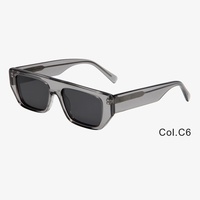 Lunettes de soleil polarisées carrées classiques rétro Lunettes en acétate personnalisées à la mode Lunettes de soleil unisexes à petite monture irrégulière TAC