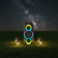 Haut-parleur portable sans fil V5.0 personnalisé en usine ABS-6002 avec microphone intégré, lumières RGB, son stéréo profond 30-50W, basses puissantes, pour extérieur