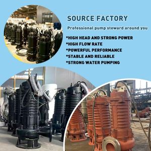 Bomba Sumergible de Aguas Residuales de Alta Resistencia, Alta Presión 50m 15kW, Bomba Industrial para Efluentes con Interruptor de Flotador para Control de Inundaciones en Minería - Product Image 2