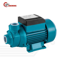 Pompe à eau solaire de surface haute pression 12 V CC 2 CV pour applications agricoles