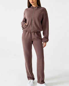 ODM OEM personnalisé vente en gros de haute qualité sweat à capuche zippé ample deux pièces ensemble couleur unie classique mode loisirs vêtements pour femmes - Product Image 2