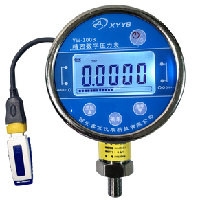 High Digital Gauge YW-100B Storage Data Export Function 4-20mA/RS485 YW-100B Digital Gauge High Digital Gauge YW-100B S - Product Image 1