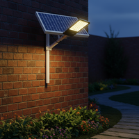 Las Mejores Luces Solares para Carreteras de 300W-1000W, Luces Exteriores de Película Delgada, Alimentadas por Batería de 6000mWH, Clasificación IP65, Control Remoto, Certificación CE, Regulables