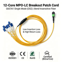 CPR CCA DCA Elite Câble de brassage MPO vers LC à faible perte 12 fibres monomode G657A1 LSZH MPO APC vers LC UPC, Cordon de brassage fibre optique