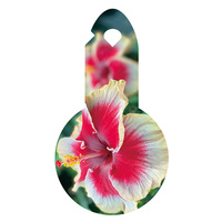 Étiquette de fleur OEM étiquette de plante étiquette de jardin HIBISCUS légume