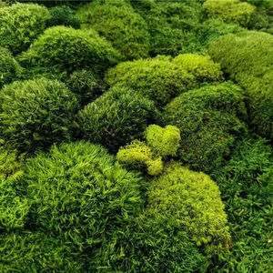 H0676 arte di alta qualità pannelli fatti a mano erba <span class=keywords><strong>artificiale</strong></span> parete, paesaggio decorativo <span class=keywords><strong>muschio</strong></span> <span class=keywords><strong>artificiale</strong></span> - Product Image 3