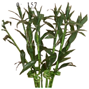 Palo <span class=keywords><strong>de</strong></span> bambú <span class=keywords><strong>artificial</strong></span> <span class=keywords><strong>de</strong></span> la suerte, decorativo - Product Image 1