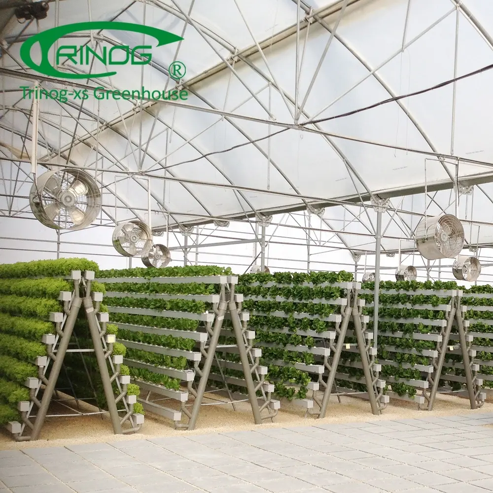 Trinog torre a-frame vertical do canal da hidroponia do nft da greenhouse na agricultura à venda