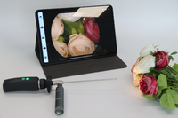 Système de caméra endoscopique vétérinaire sans fil portable 1080P pour endoscope rigide