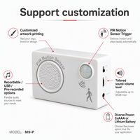 Lecteur MP3 personnalisable à détection de mouvement PIR avec audio téléchargeable par USB pour l'accueil et la publicité en magasin