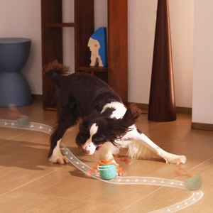 Jouet interactif pour chien révolutionnaire avec mise à niveau des matériaux, toupie automatique Wicked Ball Rolly - Product Image 4