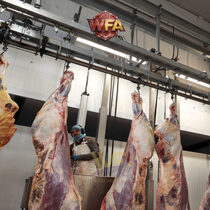 Équipement de ligne d'abattage automatique pour porcs, projet clé en main avec système de convoyeur pour <span class=keywords><strong>abattoir</strong></span> - Product Image 3