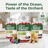 Gummies de mousse de mer Pureon OEM/ODM à marque privée, faibles en sucre, pour la détoxification, le soutien immunitaire et la thyroïde – Complément alimentaire