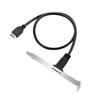 Cable de Extensión USB3.1 Tipo E a Tipo C Hembra de 50 cm con Montaje en Panel