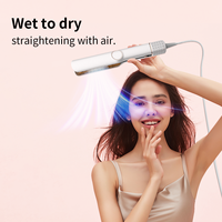 Lisseur de cheveux électrique céramique double usage (humide/sec) Airstream 2-en-1 avec écran LCD, logo personnalisé, sans dommage pour les cheveux, pour la maison, l'hôtel et l'extérieur