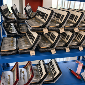 Offre Spéciale – Accordéon OEM à 26 touches et 48 basses en bois, pour étudiants, portable, avec sac de transport, choix de couleurs rouge/bleu - Product Image 4