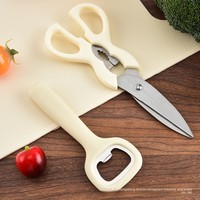 Ensemble de 5 ustensiles de cuisine durables en acier inoxydable ambidextres avec manches en plastique, couteau à fruits, ciseaux de cuisine, ouvre-bouteille