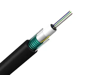 GYXTW/GYTA/GYTS/GYFTY armored g652 type single core 12 core optical fiber cable.