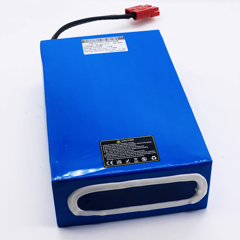 GEB Customized Lithium Ion Battery 24V