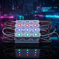 WS2811 5050 RGB Módulo de luz LED Direccionable 12V 75*15mm Tamaño a todo color Impermeable IP65 3LED 5W Potencia Rosa Emisión