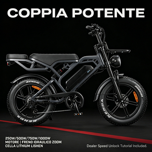 จักรยานไฟฟ้า QMHEEL V20 Pro 20x4.0 Fat Bike รุ่น E-bike จักรยานไฟฟ้า คลังสินค้าอิตาลี สต็อก EU ขายส่งจากโรงงาน ผู้ผลิต OEM ODM สำหรับธุรกิจ B2B - Product Image 1