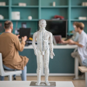 แบบจำลองเส้นลมปราณสำหรับ<span class=keywords><strong>สอน</strong></span><span class=keywords><strong>ภาษา</strong></span>อังกฤษ ขนาด 70 ซม. แบบจำลองร่างกายมนุษย์พร้อมจุดฝังเข็ม - Product Image 3