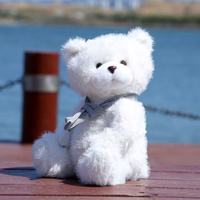 Ours en peluche blanc très vendu avec écharpe, peluche super douce, jouet en peluche, couverture pour cadeau de la Saint-Valentin, faible MOQ