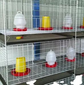 La ferme et l'agriculture équipements cages à oiseaux à vendre pas cher, petit poulailler design à vendre
