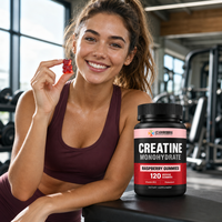Gummies de Créatine Monohydrate Saveur Framboise OEM Personnalisé Marque Privée Supplément Qualité 100000 Atelier Propre 120 Comprimés Végétariens