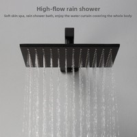 Ensemble de robinet de douche mural en céramique noir-or carré pour salle de bain avec modes de pulvérisation doux et pluie