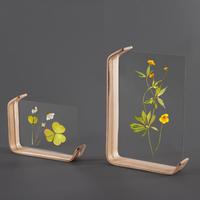 Marco de Fotos para Exhibición de Especímenes de Plantas de Madera, Impresión UV, Diseño Curvo, Calendario Extraíble, Color Natural, Multitamaño, Certificado BSCI